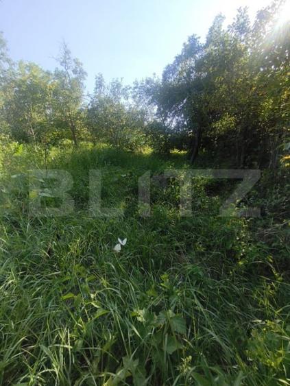 TEREN INTRAVILAN DE VANZARE - LUNCA MURESULUI 700 MP - 3