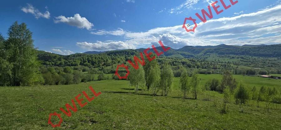 Teren agricol extravilan de 1740 mp, în Vama Buzăului