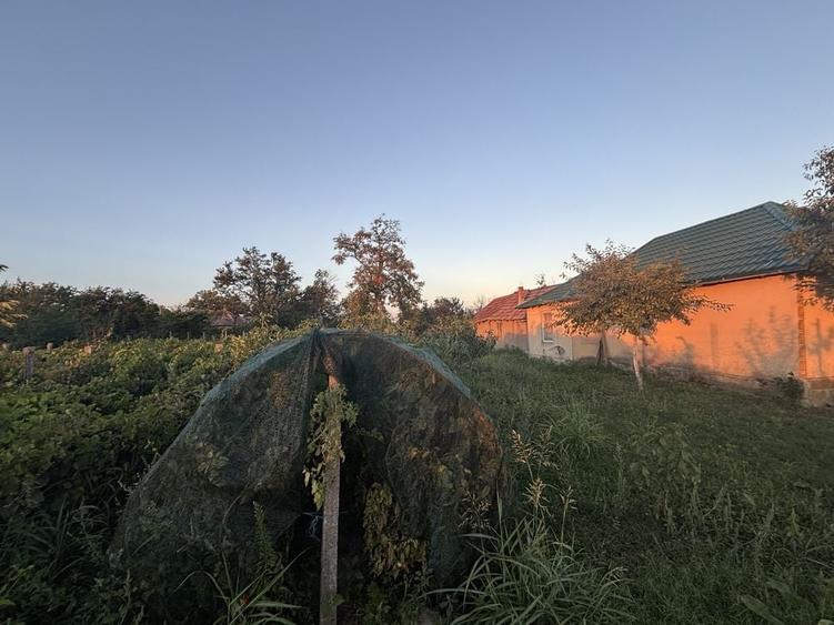 Casă cu 4 camere în Padina