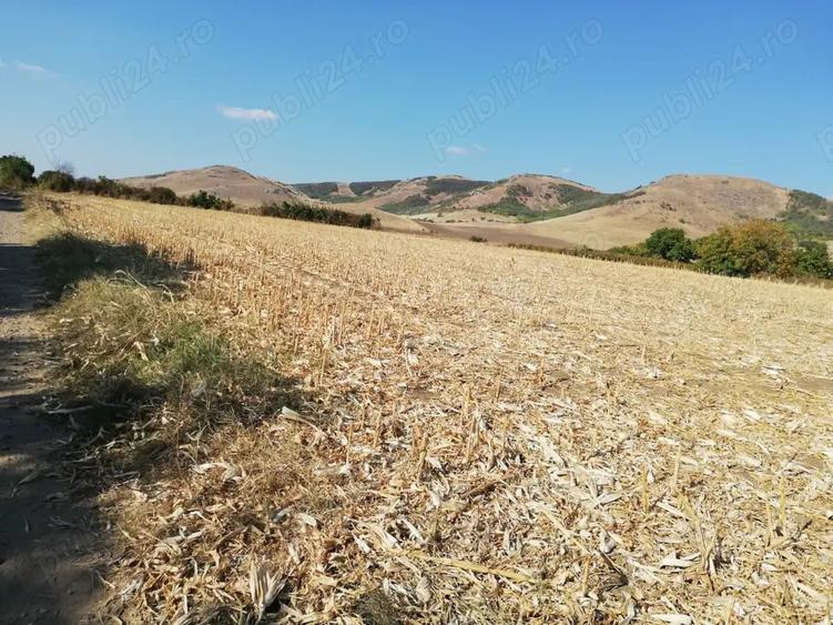 Teren de 1850 mp, în Greci