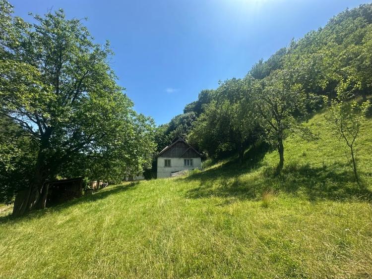 Casă individuală cu 3 camere cu Teren 25000 Mp în Valea Vințului
