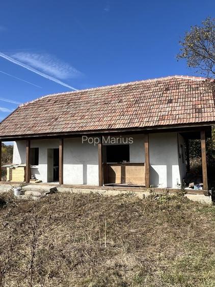 Casa la tara langa Lacul Nasal teren 1.500 mp