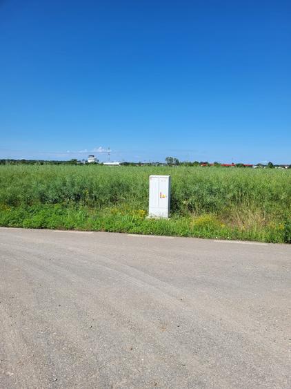 Teren Construcții intravilan de 5000 mp, în Ciolpani