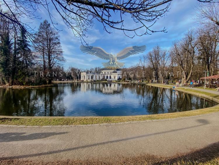 Apartament cu 1 camera, situat in Parcul Central din Cluj-Napoca - 16