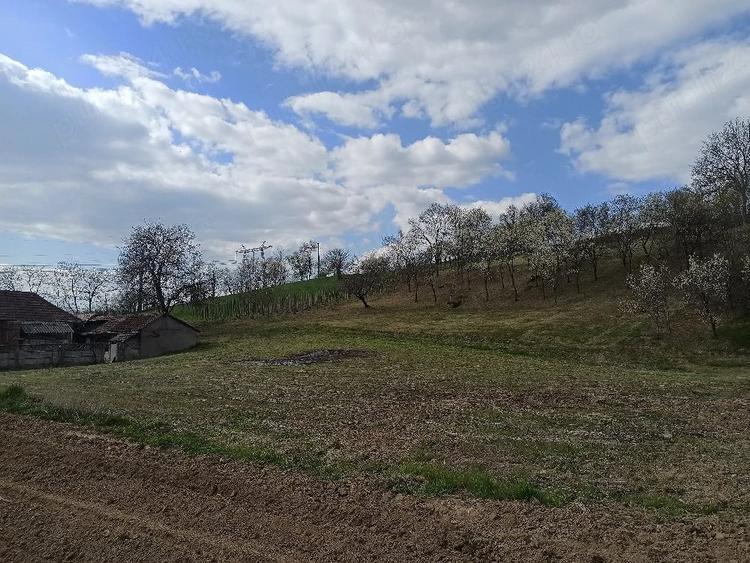 Casă cu Teren 4000 Mp în Arduzel