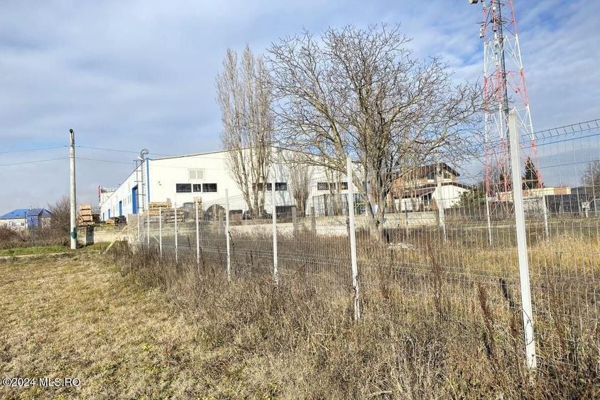 Teren Construcții intravilan de 2409 mp, în Afumați