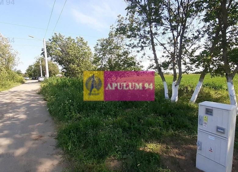 Teren Construcții intravilan de 5000 mp, în Copăceni