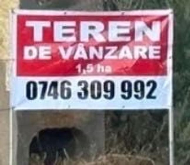 Spațiu comercial, în Central