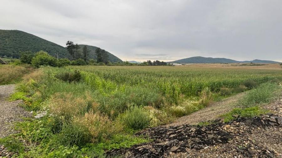 Teren agricol extravilan de 4300 mp, în Sărata
