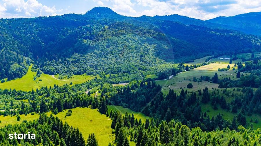 Teren 2.800 mp | Sacele | Platou cu priveli?te montana ?i rau - 3