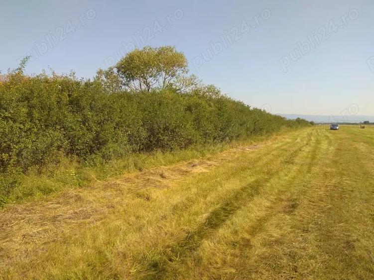 Teren de 5800 mp, în Suseni