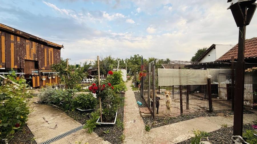 Casă individuală cu 5 camere cu Teren 1300 Mp în Parța