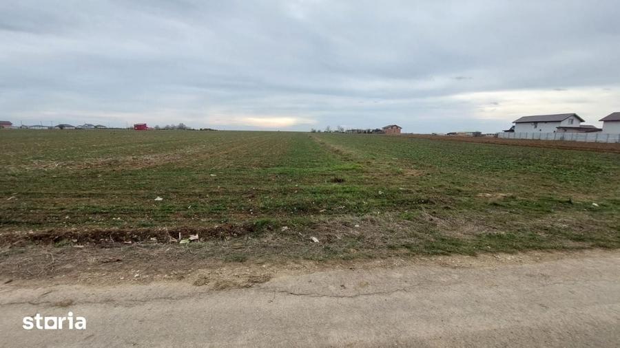 Teren de 5800 mp, în Adunații-Copăceni