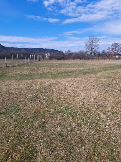 Teren de 1500 mp, în Aștileu