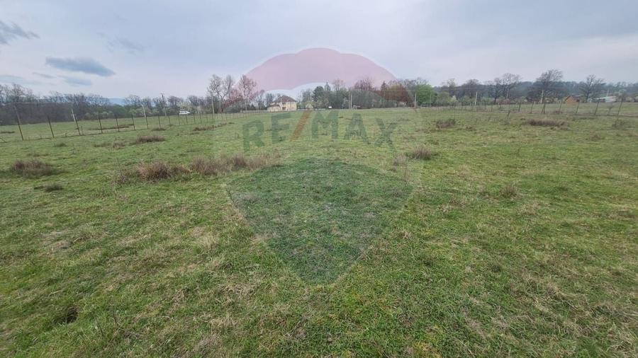 Teren Construcții intravilan de 5000 mp, în Sud