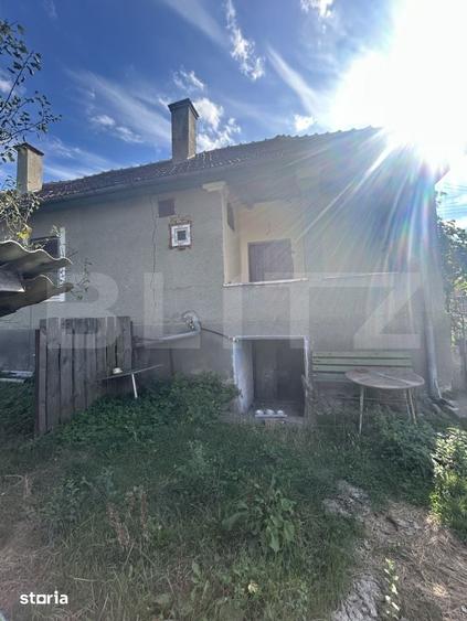 Casa individuala de vanzare 100 mp + teren 1887 mp Bont - 1