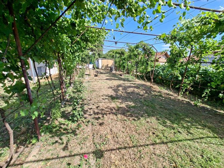 Casă cu 3 camere în Rogova