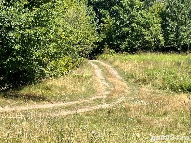 Teren de 10000 mp, în Alexandru cel Bun