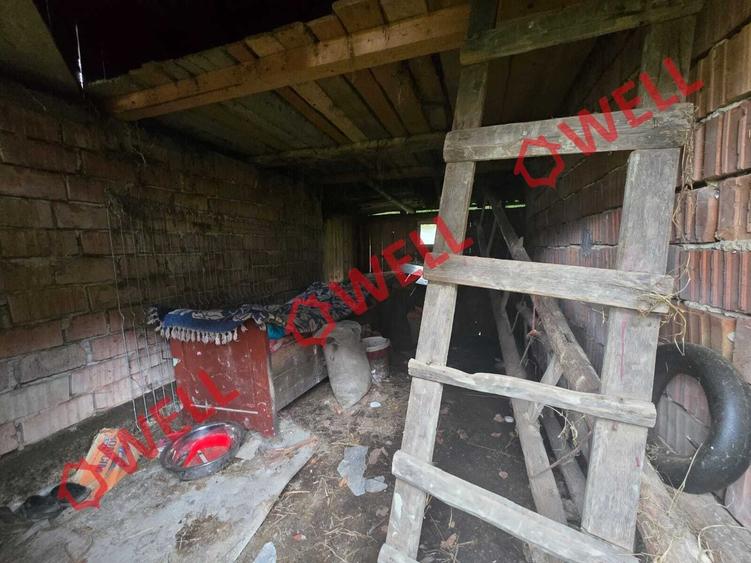 Casă cu 3 camere cu Teren 6000 Mp în Sita Buzăului