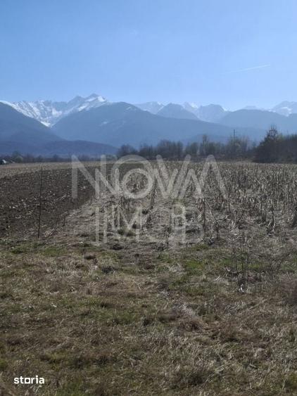 Teren de 2100 mp, în Central