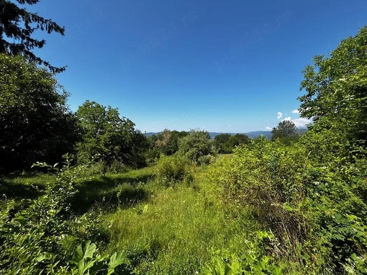 Teren de 3100 mp, în Dăești