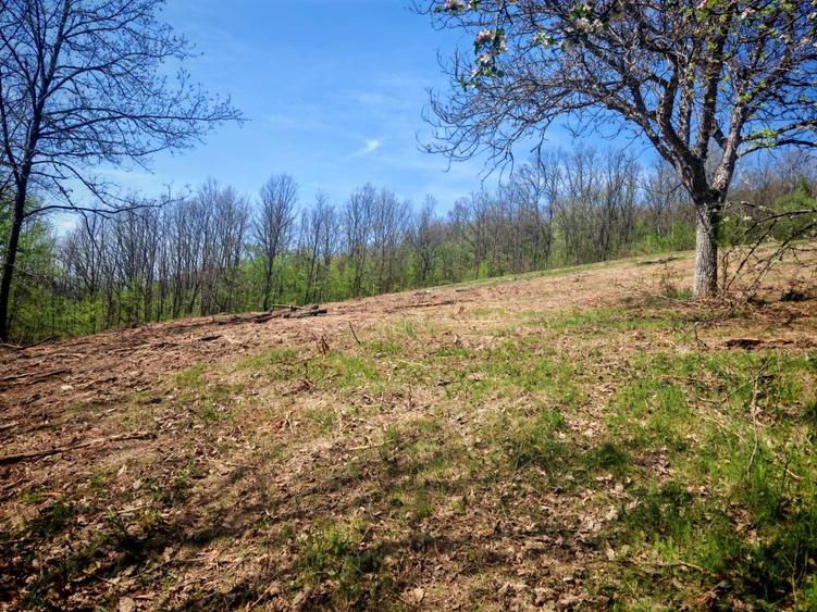 Pasune cu padure 5.5 ha sat Dumbravita Com Barzava - 1