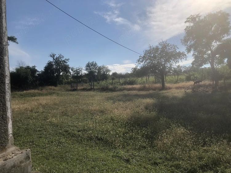 Teren de 3444 mp, în Oancea