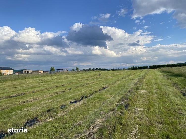 Teren de 400 mp, în Central