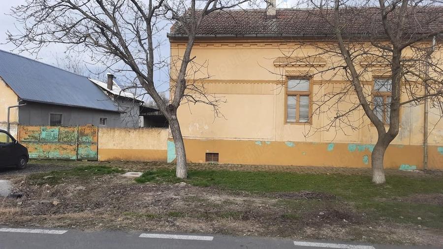 Casă cu Teren 800 Mp în Cenei