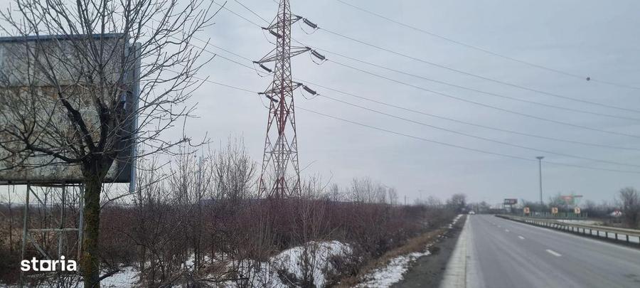 Teren de 60000 mp, în Bradu