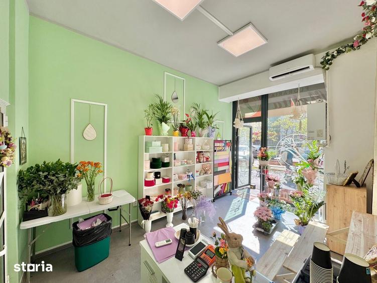 Inchiriere Spatiu Vitrat Showroom Haine tip Boutique- Pacurari- Lukoil - 5