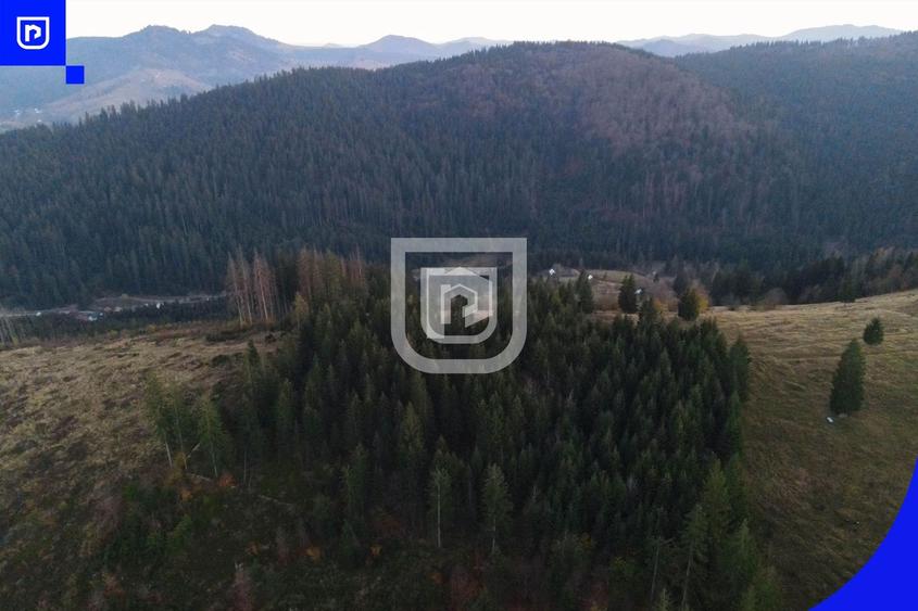 Teren extravilan de 3139 mp, în Vest