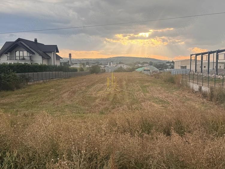 Teren de 5000 mp, în Poieni-Suceava