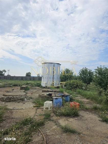 Teren de 10000 mp, în Ștefan cel Mare