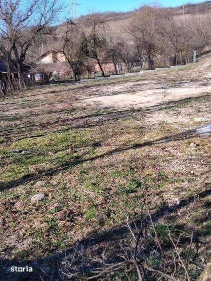 Teren de 8000 mp, în Șoimuș