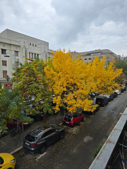 Apartament cu 2 camere semidecomandat în P-ța Amzei