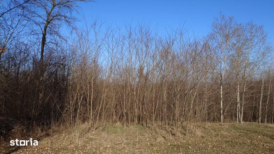 Vand teren Teisani, sat Stubeiu - 1