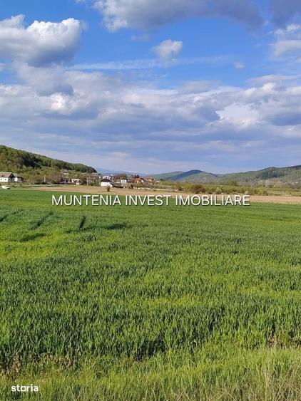 Spațiu comercial, în Albota
