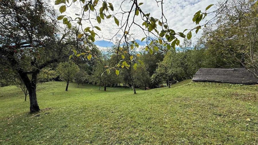 Teren de 7582 mp, în Cosmina de Jos