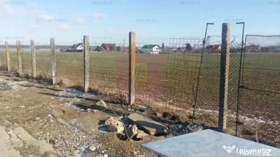 Teren Balotesti- Saftica- ideal pentru constructie locuinte. - 4