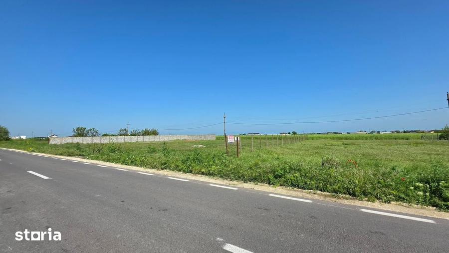 Teren de 2000 mp, în Movilița