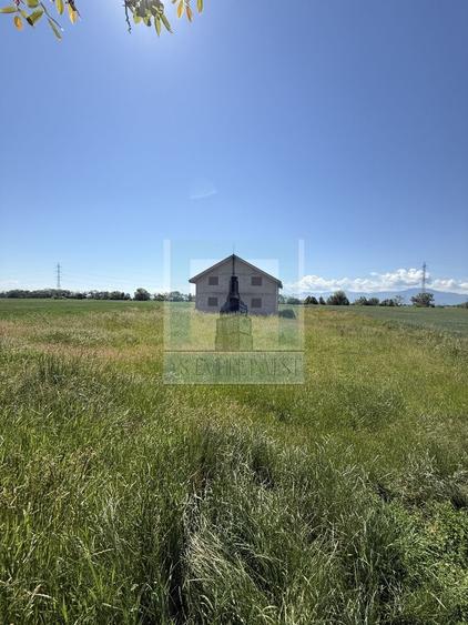 Teren Construcții intravilan de 50000 mp, în Hălchiu