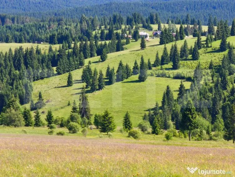 Teren de 2817 mp, în Piatra