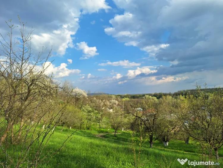 Mo?ia boiereasca din varf de deal, Scor?eni - Prahova! - 6