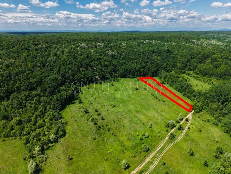 Teren agricol extravilan de 5500 mp, în Valea Mare-Podgoria
