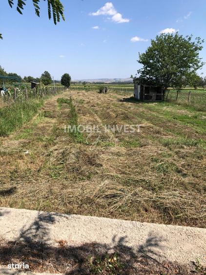 Teren de 1300 mp, în Vințu de Jos
