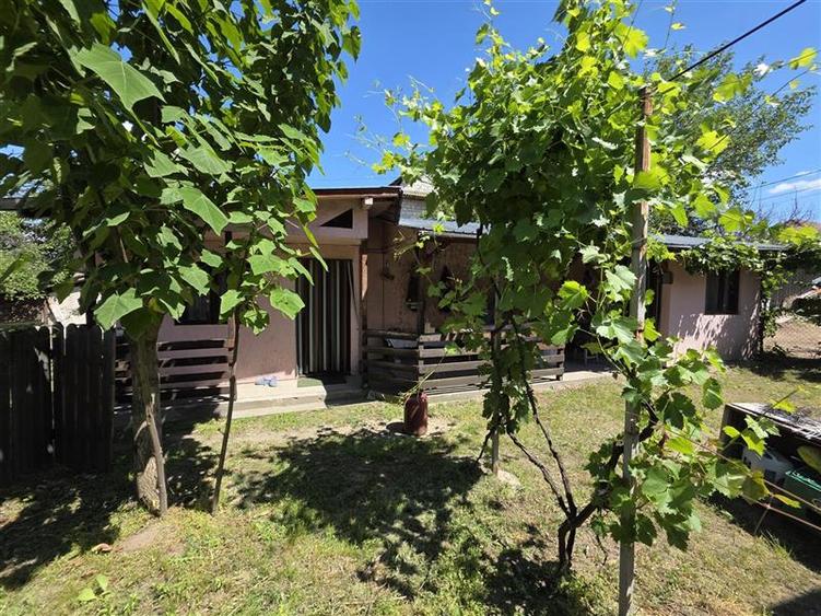 Teren Construcții intravilan de 1033 mp, în Cernele