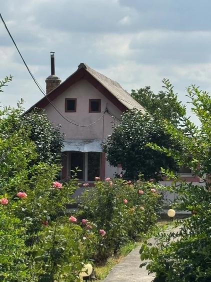 Casă cu Teren 821 Mp în Central