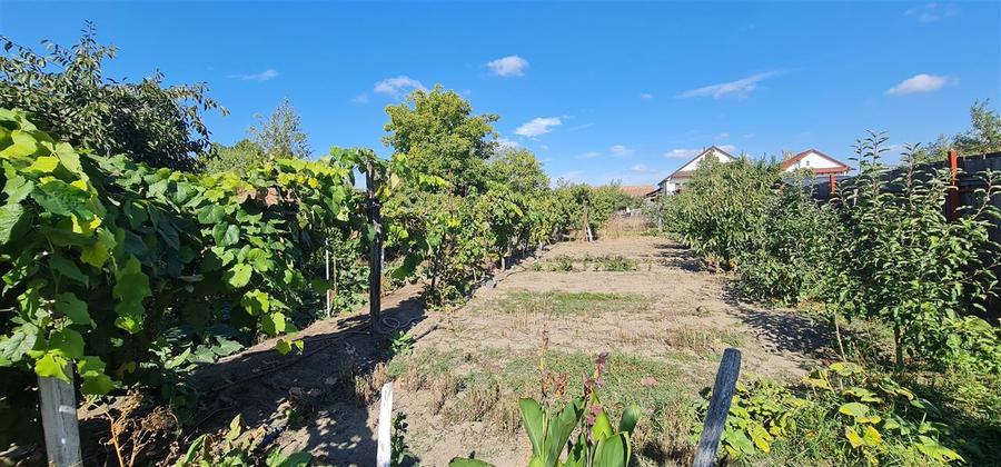 Casa pentru spatiu comercial pe calea Radnei - strada principala - 21