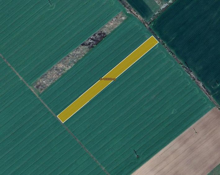 Teren Construcții extravilan de 10000 mp, în Șagului